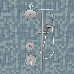 standard-showerhead-and-handheld-homeability