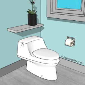 1-piece-toilet-homeability